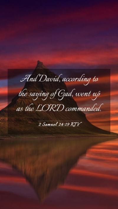 Picture 03 - 2 Samuel 24:19 KJV Mobile Phone Wallpaper - And David, according to the saying of Gad, went - Mobile Bible Verse Wallpaper