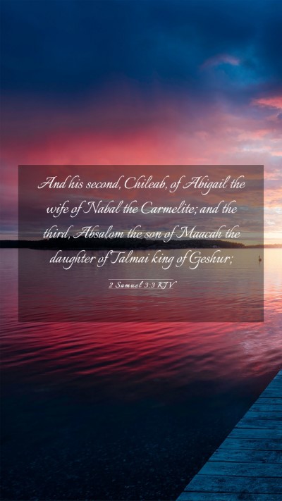 Picture 03 - 2 Samuel 3:3 KJV Mobile Phone Wallpaper - And his second, Chileab, of Abigail the wife of - Mobile Bible Verse Wallpaper