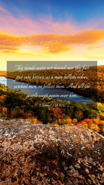 Picture 03 - 2 Samuel 3:34 KJV Mobile Phone Wallpaper - Thy hands were not bound, nor thy feet put into - Mobile Bible Verse Wallpaper