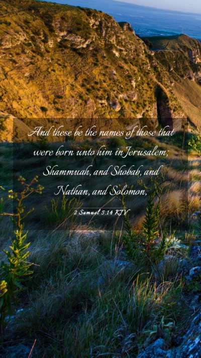Picture 03 - 2 Samuel 5:14 KJV Mobile Phone Wallpaper - And these be the names of those that were born - Mobile Bible Verse Wallpaper