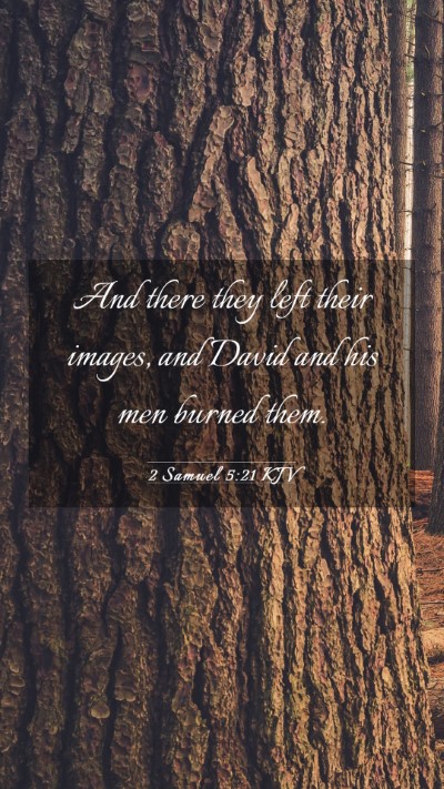Picture 03 - 2 Samuel 5:21 KJV Mobile Phone Wallpaper - And there they left their images, and David and - Mobile Bible Verse Wallpaper