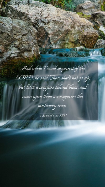Picture 03 - 2 Samuel 5:23 KJV Mobile Phone Wallpaper - And when David inquired of the LORD, he said, - Mobile Bible Verse Wallpaper