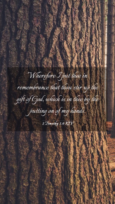 Picture 03 - 2 Timothy 1:6 KJV Mobile Phone Wallpaper - Wherefore I put thee in remembrance that thou - Mobile Bible Verse Wallpaper