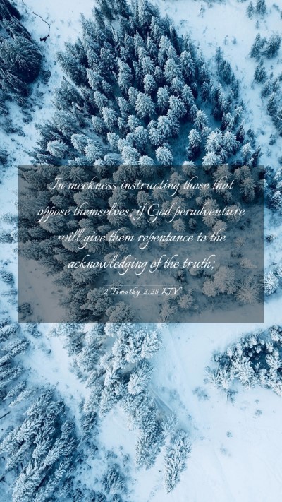 Picture 03 - 2 Timothy 2:25 KJV Mobile Phone Wallpaper - In meekness instructing those that oppose - Mobile Bible Verse Wallpaper