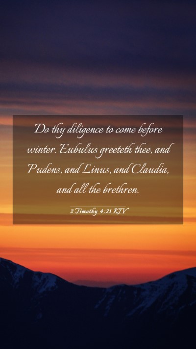 Picture 03 - 2 Timothy 4:21 KJV Mobile Phone Wallpaper - Do thy diligence to come before winter. Eubulus - Mobile Bible Verse Wallpaper