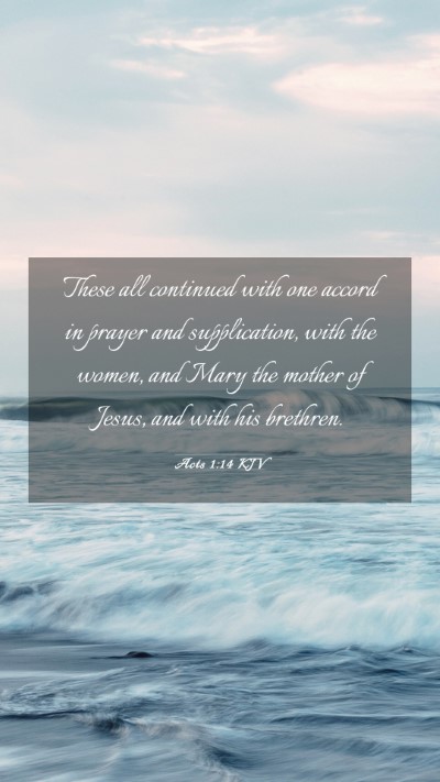 Picture 03 - Acts 1:14 KJV Mobile Phone Wallpaper - These all continued with one accord in prayer and - Mobile Bible Verse Wallpaper