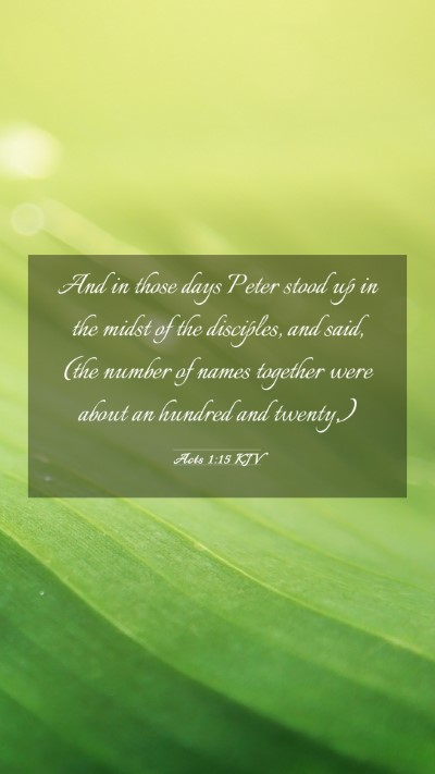 Picture 03 - Acts 1:15 KJV Mobile Phone Wallpaper - And in those days Peter stood up in the midst of - Mobile Bible Verse Wallpaper