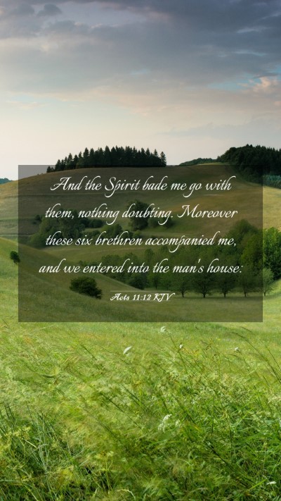 Picture 03 - Acts 11:12 KJV Mobile Phone Wallpaper - And the Spirit bade me go with them, nothing - Mobile Bible Verse Wallpaper