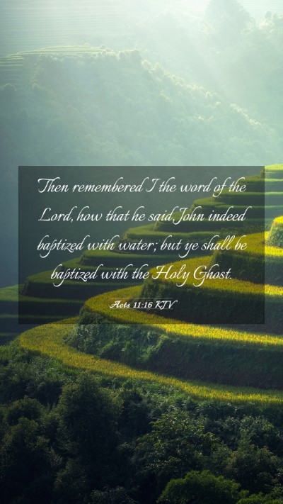 Picture 03 - Acts 11:16 KJV Mobile Phone Wallpaper - Then remembered I the word of the Lord, how that - Mobile Bible Verse Wallpaper