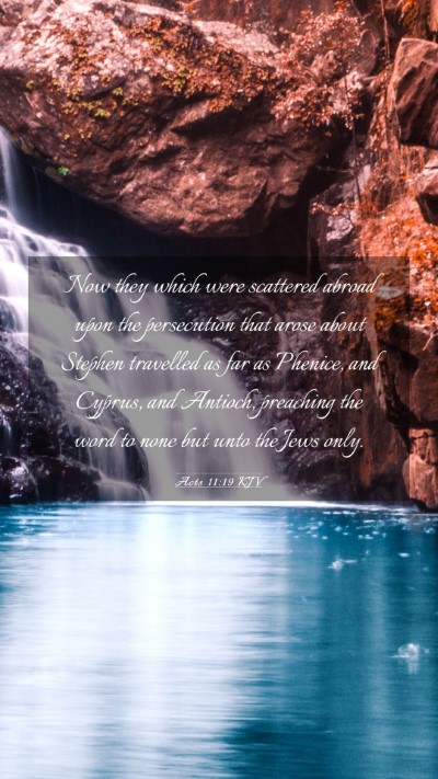 Picture 03 - Acts 11:19 KJV Mobile Phone Wallpaper - Now they which were scattered abroad upon the - Mobile Bible Verse Wallpaper