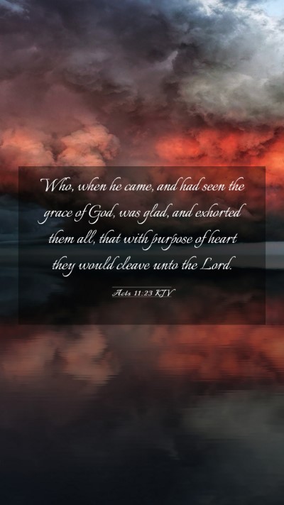 Picture 03 - Acts 11:23 KJV Mobile Phone Wallpaper - Who, when he came, and had seen the grace of God, - Mobile Bible Verse Wallpaper