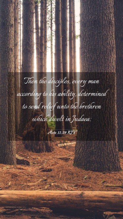 Picture 03 - Acts 11:29 KJV Mobile Phone Wallpaper - Then the disciples, every man according to his - Mobile Bible Verse Wallpaper