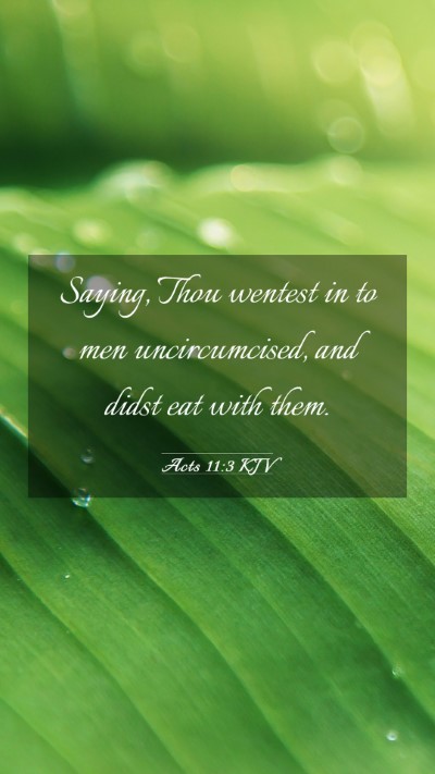 Picture 03 - Acts 11:3 KJV Mobile Phone Wallpaper - Saying, Thou wentest in to men uncircumcised, and - Mobile Bible Verse Wallpaper