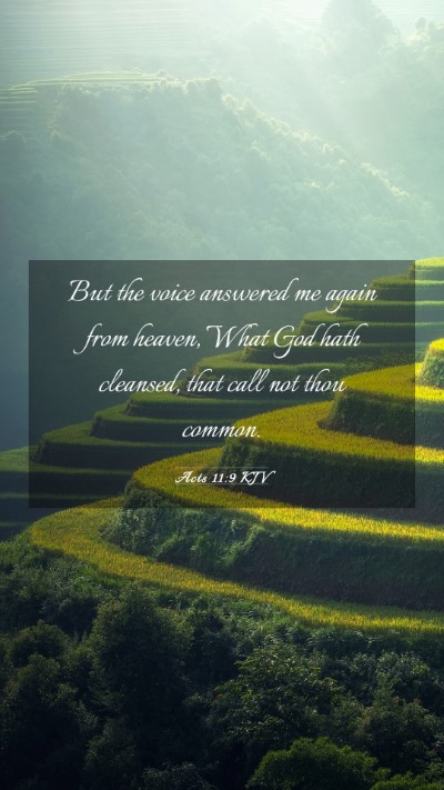 Picture 03 - Acts 11:9 KJV Mobile Phone Wallpaper - But the voice answered me again from heaven, What - Mobile Bible Verse Wallpaper