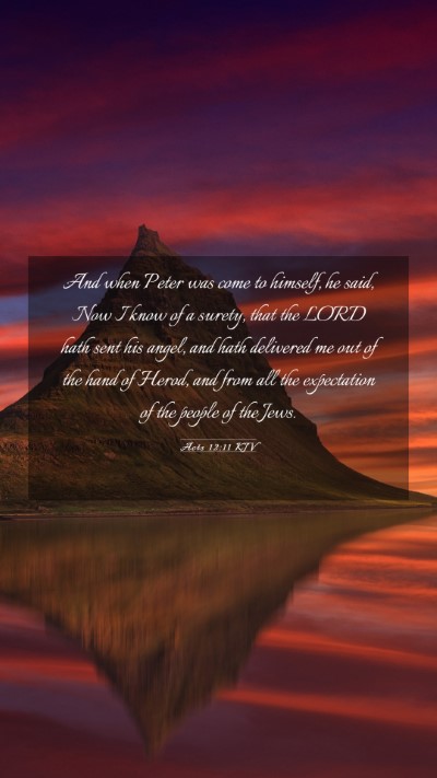 Picture 03 - Acts 12:11 KJV Mobile Phone Wallpaper - And when Peter was come to himself, he said, Now - Mobile Bible Verse Wallpaper