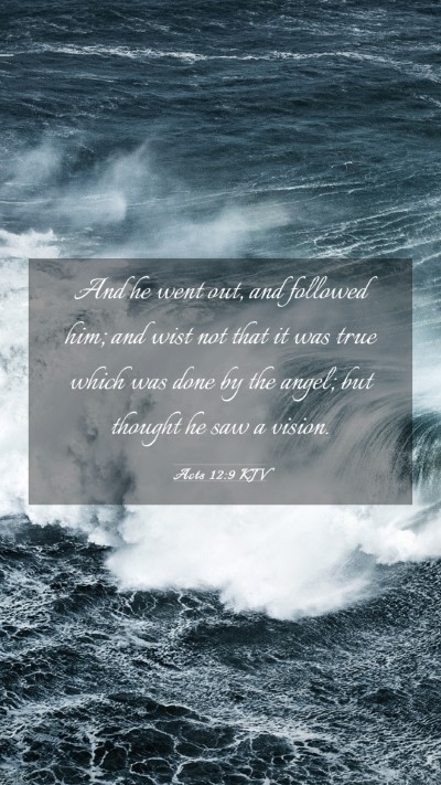 Picture 03 - Acts 12:9 KJV Mobile Phone Wallpaper - And he went out, and followed him; and wist not - Mobile Bible Verse Wallpaper