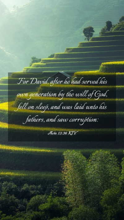 Picture 03 - Acts 13:36 KJV Mobile Phone Wallpaper - For David, after he had served his own generation - Mobile Bible Verse Wallpaper