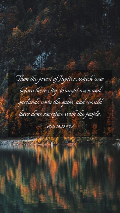 Picture 03 - Acts 14:13 KJV Mobile Phone Wallpaper - Then the priest of Jupiter, which was before - Mobile Bible Verse Wallpaper