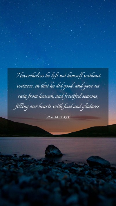 Picture 03 - Acts 14:17 KJV Mobile Phone Wallpaper - Nevertheless he left not himself without witness, - Mobile Bible Verse Wallpaper