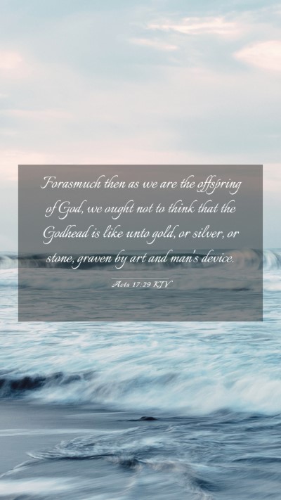 Picture 03 - Acts 17:29 KJV Mobile Phone Wallpaper - Forasmuch then as we are the offspring of God, we - Mobile Bible Verse Wallpaper