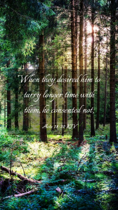 Picture 03 - Acts 18:20 KJV Mobile Phone Wallpaper - When they desired him to tarry longer time with - Mobile Bible Verse Wallpaper