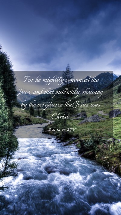 Picture 03 - Acts 18:28 KJV Mobile Phone Wallpaper - For he mightily convinced the Jews, and that - Mobile Bible Verse Wallpaper