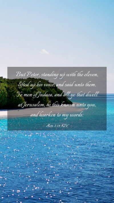 Picture 03 - Acts 2:14 KJV Mobile Phone Wallpaper - But Peter, standing up with the eleven, lifted up - Mobile Bible Verse Wallpaper