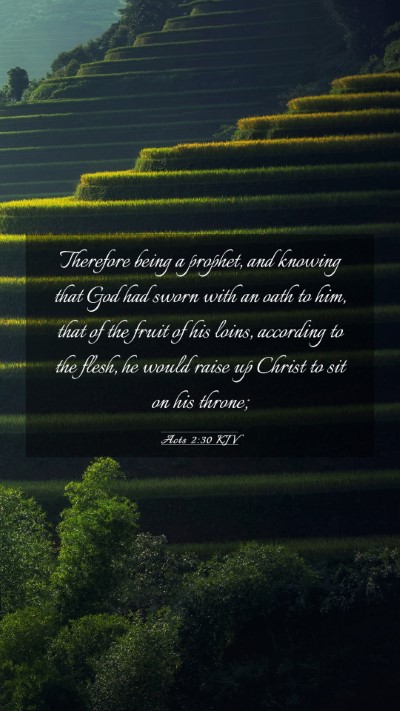 Picture 03 - Acts 2:30 KJV Mobile Phone Wallpaper - Therefore being a prophet, and knowing that God - Mobile Bible Verse Wallpaper