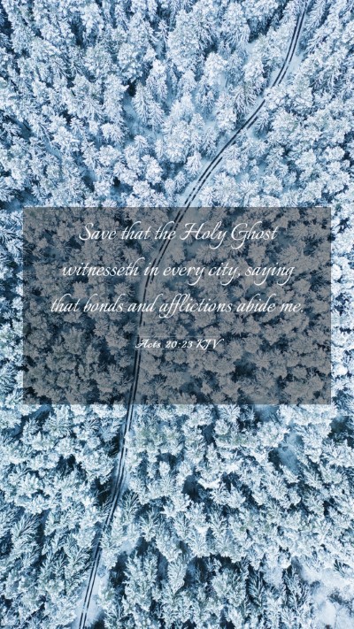 Picture 03 - Acts 20:23 KJV Mobile Phone Wallpaper - Save that the Holy Ghost witnesseth in every - Mobile Bible Verse Wallpaper
