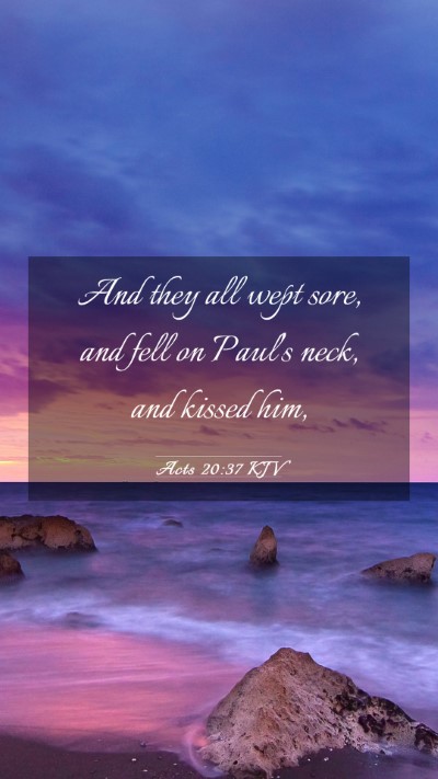 Picture 03 - Acts 20:37 KJV Mobile Phone Wallpaper - And they all wept sore, and fell on Paul's neck, - Mobile Bible Verse Wallpaper