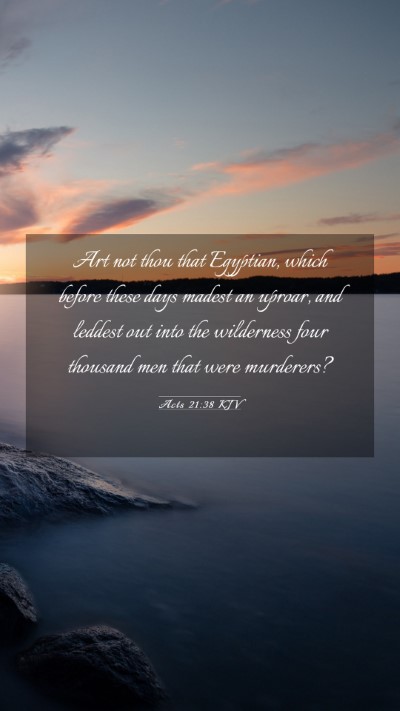 Picture 03 - Acts 21:38 KJV Mobile Phone Wallpaper - Art not thou that Egyptian, which before these - Mobile Bible Verse Wallpaper