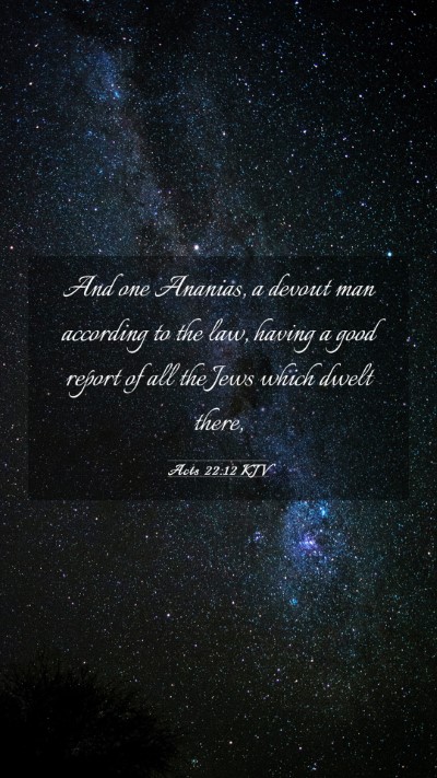 Picture 03 - Acts 22:12 KJV Mobile Phone Wallpaper - And one Ananias, a devout man according to the - Mobile Bible Verse Wallpaper