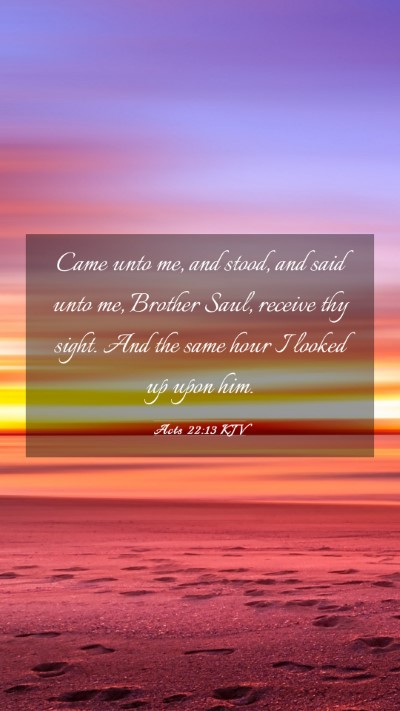 Picture 03 - Acts 22:13 KJV Mobile Phone Wallpaper - Came unto me, and stood, and said unto me, - Mobile Bible Verse Wallpaper