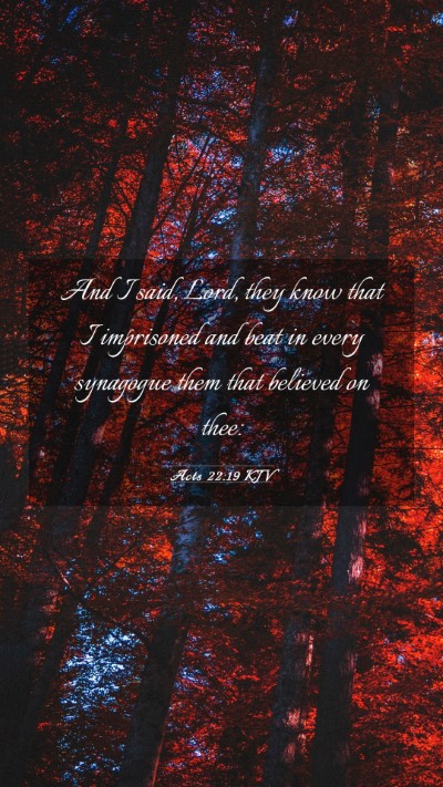 Picture 03 - Acts 22:19 KJV Mobile Phone Wallpaper - And I said, Lord, they know that I imprisoned and - Mobile Bible Verse Wallpaper