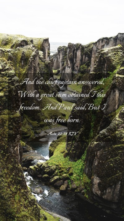 Picture 03 - Acts 22:28 KJV Mobile Phone Wallpaper - And the chief captain answered, With a great sum - Mobile Bible Verse Wallpaper