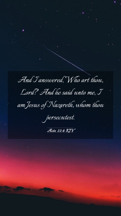 Picture 03 - Acts 22:8 KJV Mobile Phone Wallpaper - And I answered, Who art thou, Lord? And he said - Mobile Bible Verse Wallpaper