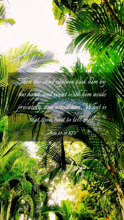 Picture 03 - Acts 23:19 KJV Mobile Phone Wallpaper - Then the chief captain took him by the hand, and - Mobile Bible Verse Wallpaper
