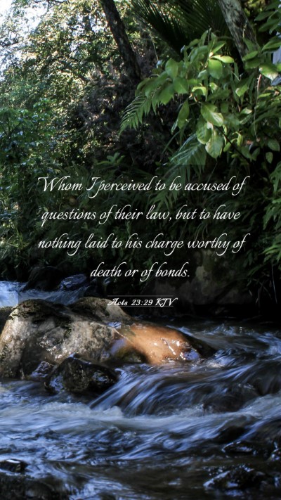 Picture 03 - Acts 23:29 KJV Mobile Phone Wallpaper - Whom I perceived to be accused of questions of - Mobile Bible Verse Wallpaper