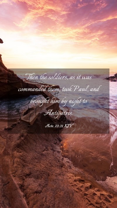 Picture 03 - Acts 23:31 KJV Mobile Phone Wallpaper - Then the soldiers, as it was commanded them, took - Mobile Bible Verse Wallpaper