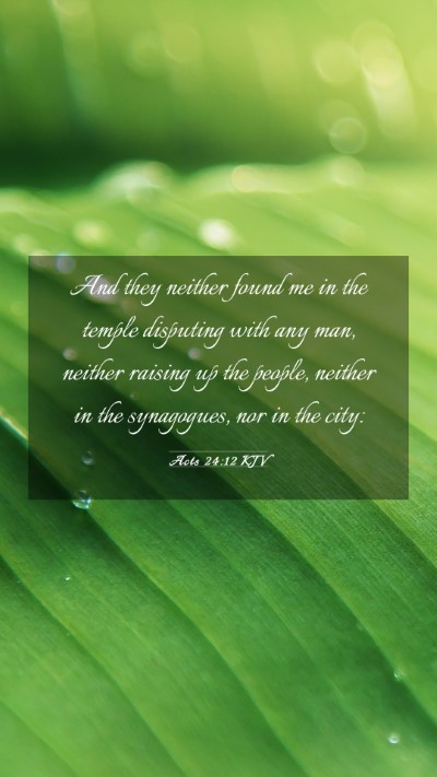 Picture 03 - Acts 24:12 KJV Mobile Phone Wallpaper - And they neither found me in the temple disputing - Mobile Bible Verse Wallpaper