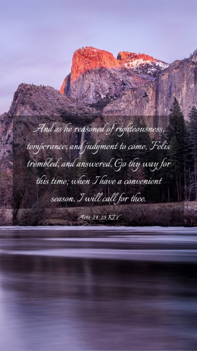 Picture 03 - Acts 24:25 KJV Mobile Phone Wallpaper - And as he reasoned of righteousness, temperance, - Mobile Bible Verse Wallpaper