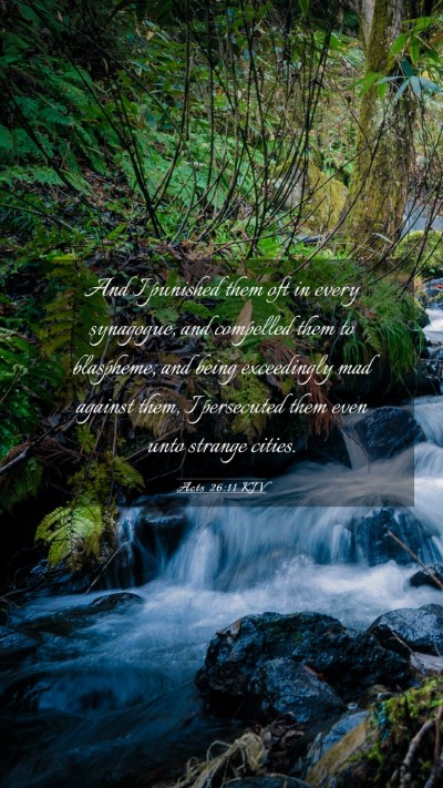 Picture 03 - Acts 26:11 KJV Mobile Phone Wallpaper - And I punished them oft in every synagogue, and - Mobile Bible Verse Wallpaper