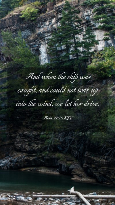 Picture 03 - Acts 27:15 KJV Mobile Phone Wallpaper - And when the ship was caught, and could not bear - Mobile Bible Verse Wallpaper