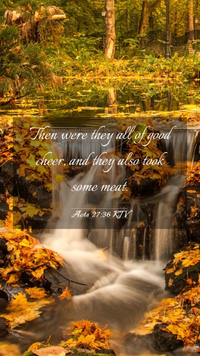 Picture 03 - Acts 27:36 KJV Mobile Phone Wallpaper - Then were they all of good cheer, and they also - Mobile Bible Verse Wallpaper