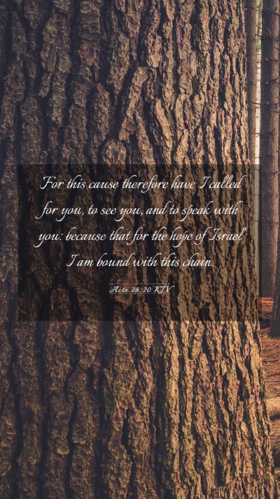 Picture 03 - Acts 28:20 KJV Mobile Phone Wallpaper - For this cause therefore have I called for you, - Mobile Bible Verse Wallpaper
