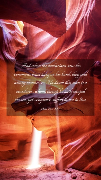 Picture 03 - Acts 28:4 KJV Mobile Phone Wallpaper - And when the barbarians saw the venomous beast - Mobile Bible Verse Wallpaper