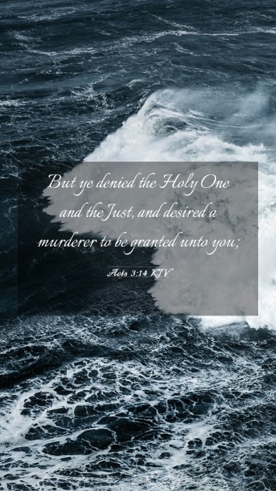 Picture 03 - Acts 3:14 KJV Mobile Phone Wallpaper - But ye denied the Holy One and the Just, and - Mobile Bible Verse Wallpaper