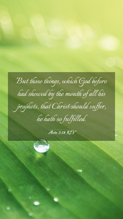 Picture 03 - Acts 3:18 KJV Mobile Phone Wallpaper - But those things, which God before had shewed by - Mobile Bible Verse Wallpaper