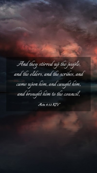 Picture 03 - Acts 6:12 KJV Mobile Phone Wallpaper - And they stirred up the people, and the elders, - Mobile Bible Verse Wallpaper