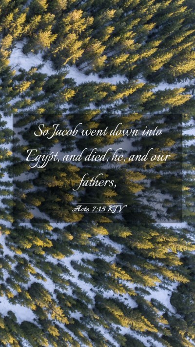 Picture 03 - Acts 7:15 KJV Mobile Phone Wallpaper - So Jacob went down into Egypt, and died, he, and - Mobile Bible Verse Wallpaper